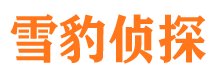 湖北市私家侦探